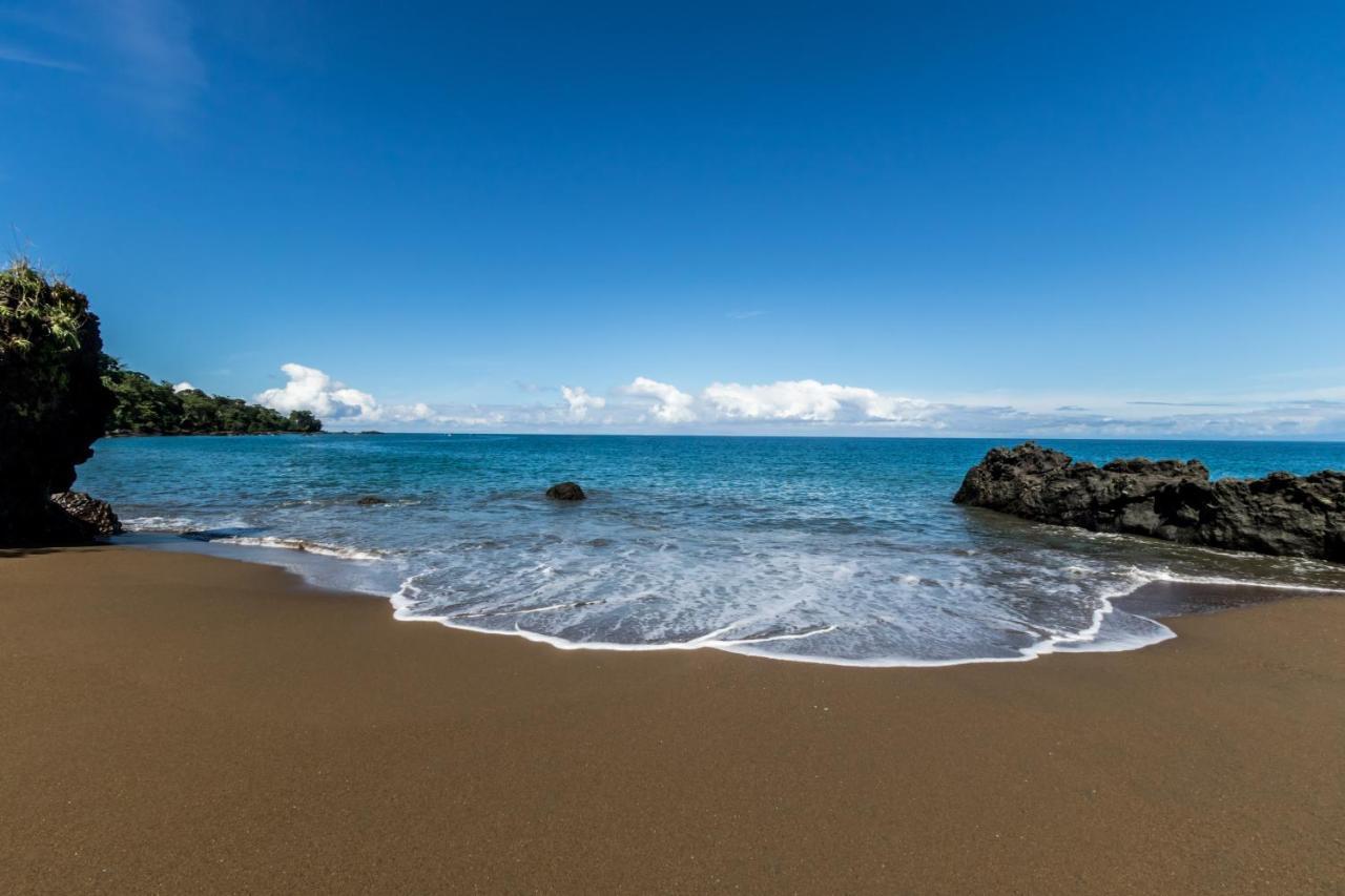 Las Cotingas Ocean View Drake Bay Exterior photo