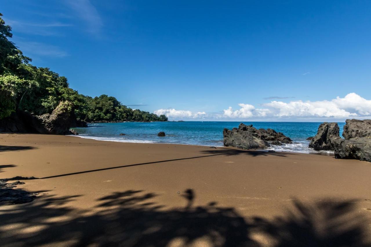 Las Cotingas Ocean View Drake Bay Exterior photo