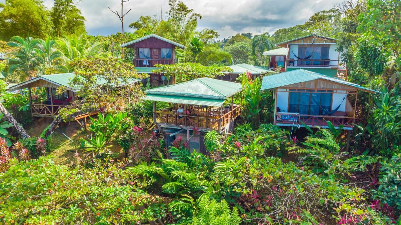 Las Cotingas Ocean View Drake Bay Exterior photo