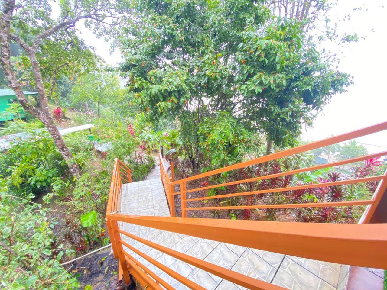 Las Cotingas Ocean View Drake Bay Exterior photo